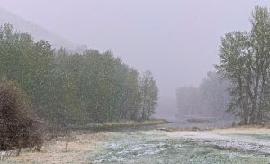 Big Hole River, Melrose, Montana, in the snow