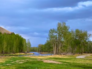 The Big Hole River, near Melrose, Montana, USA