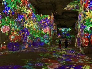 Cézanne's flowers at Carrières des Lumières 2021, Les Baux-de-Provence