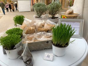 Le blé de la Sainte-Barbe, at Aix-en Provence's Christmas market