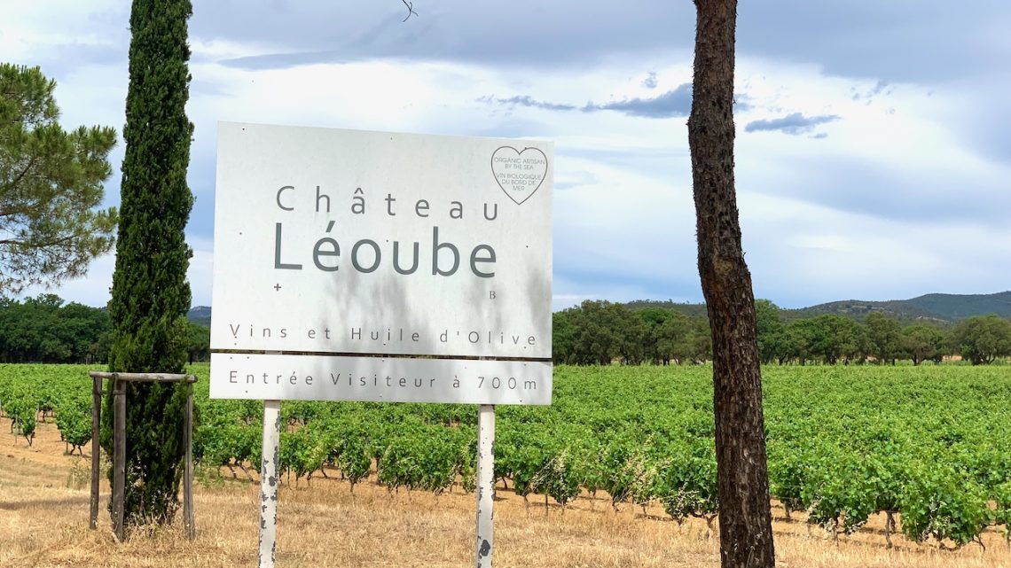 Château Léoube entrance by the vines's,Bormes-les-Mimosas, Var Provence, France