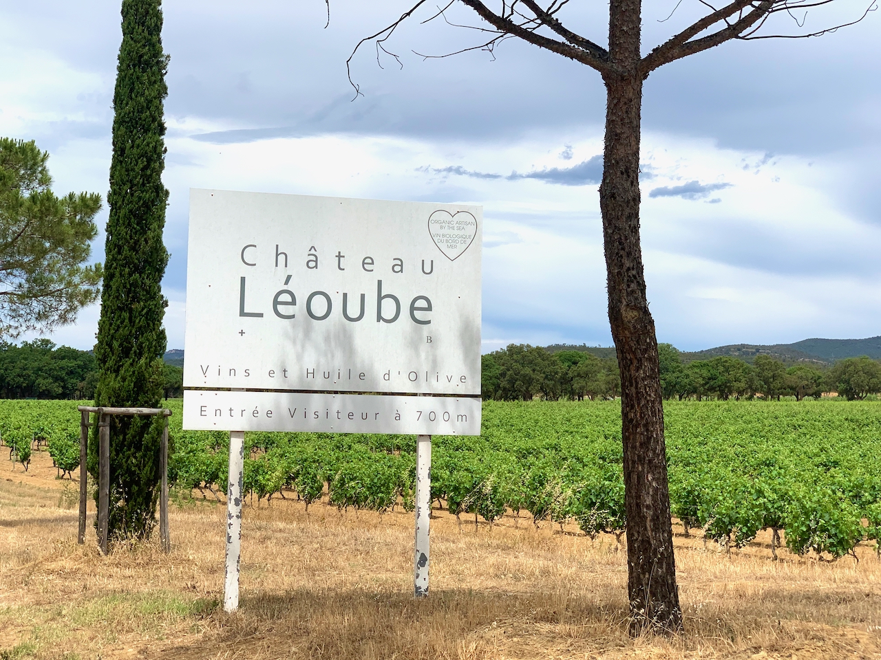 Château Léoube entrance by the vines's,Bormes-les-Mimosas, Var Provence, France