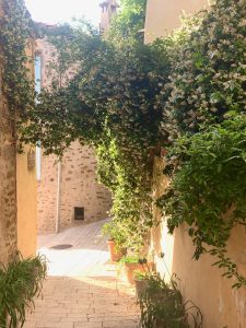 Streets of Gassin laden with honeysuckle, Côte d'Azur, Var, Provence, France