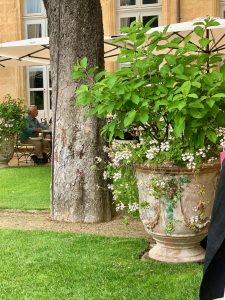 Terrace restaurant at Hôtel de Caumont, Aix-en-Provence, Bouches-du-Rhône, France