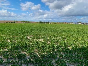 Battlefields of the Somme, France