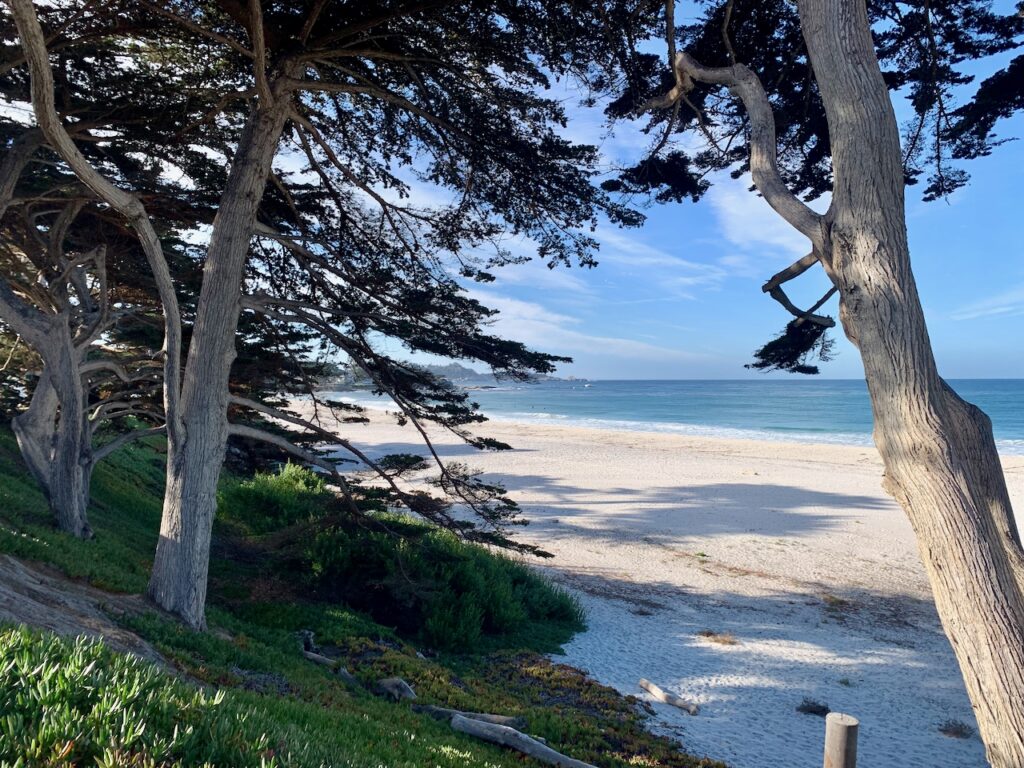 The beach at Carmel-by-the-Sea, California, USA