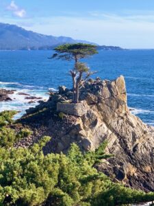 The Lone Cypress, The 17 Mile Drive
