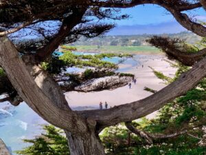Views of the beach The beach at Carmel-by-the-Sea,
