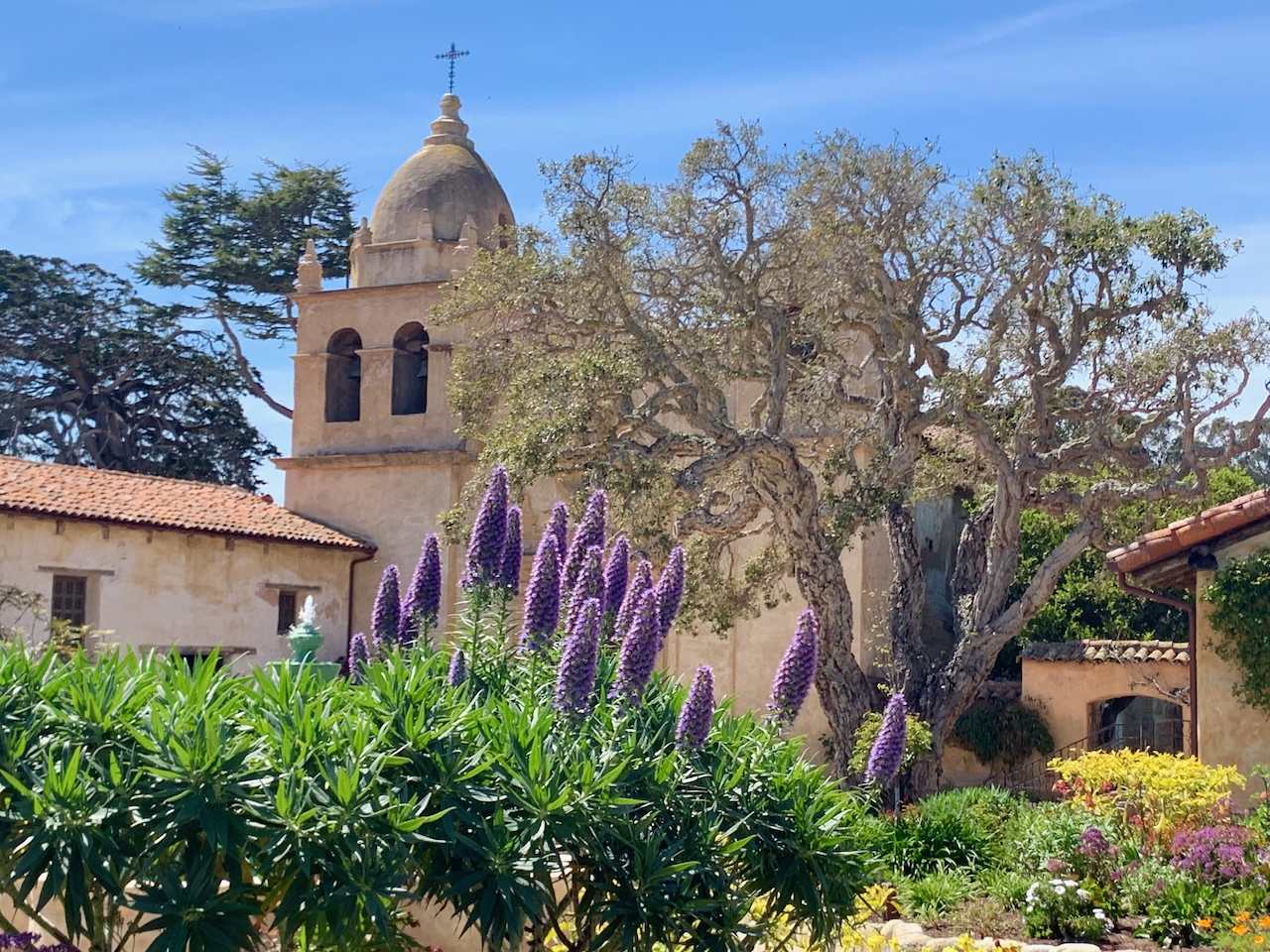 The Carmel Mission Basilica, founded in 1770