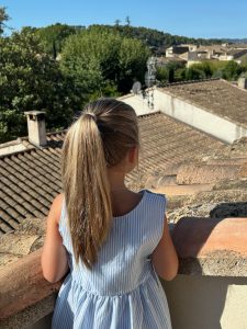 Across the Lourmarin roof tops, Lourmarin, Luberon, Vaucluse, Provence, France