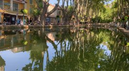 Bassin de L'étang, Cucuron, Luberon, Vaucluse, Provence, France