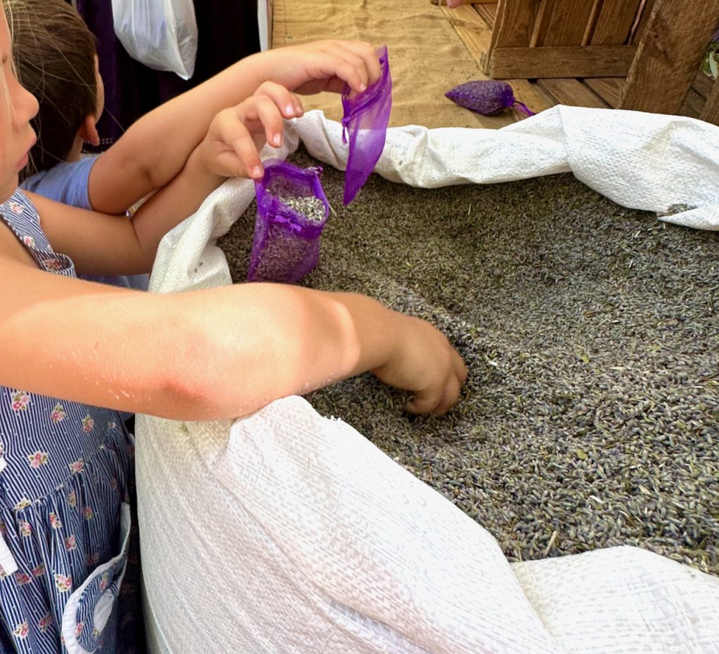 Filling lavender bags in Lourmarin market, Lourmarin, Luberon, Vaucluse, Provence, France