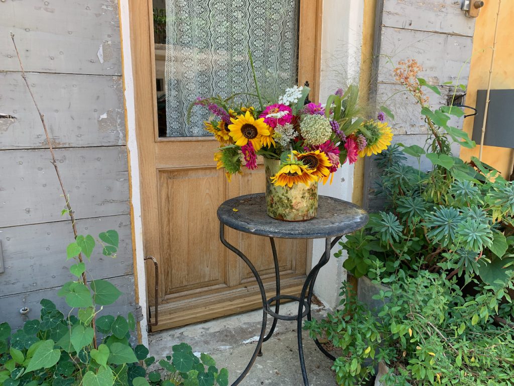 Flowers in Cucuron, Luberon, Provence, France