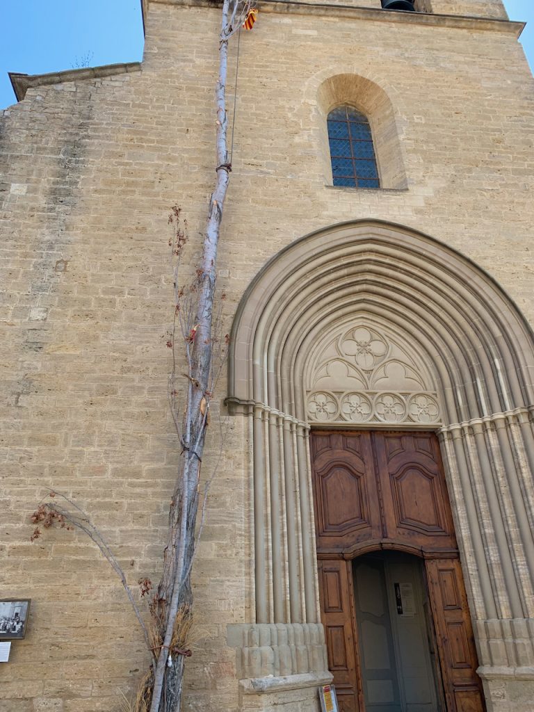 L'Arbre de Mai at the church in Cucuron, Luberon, Vaucluse, Provence, France