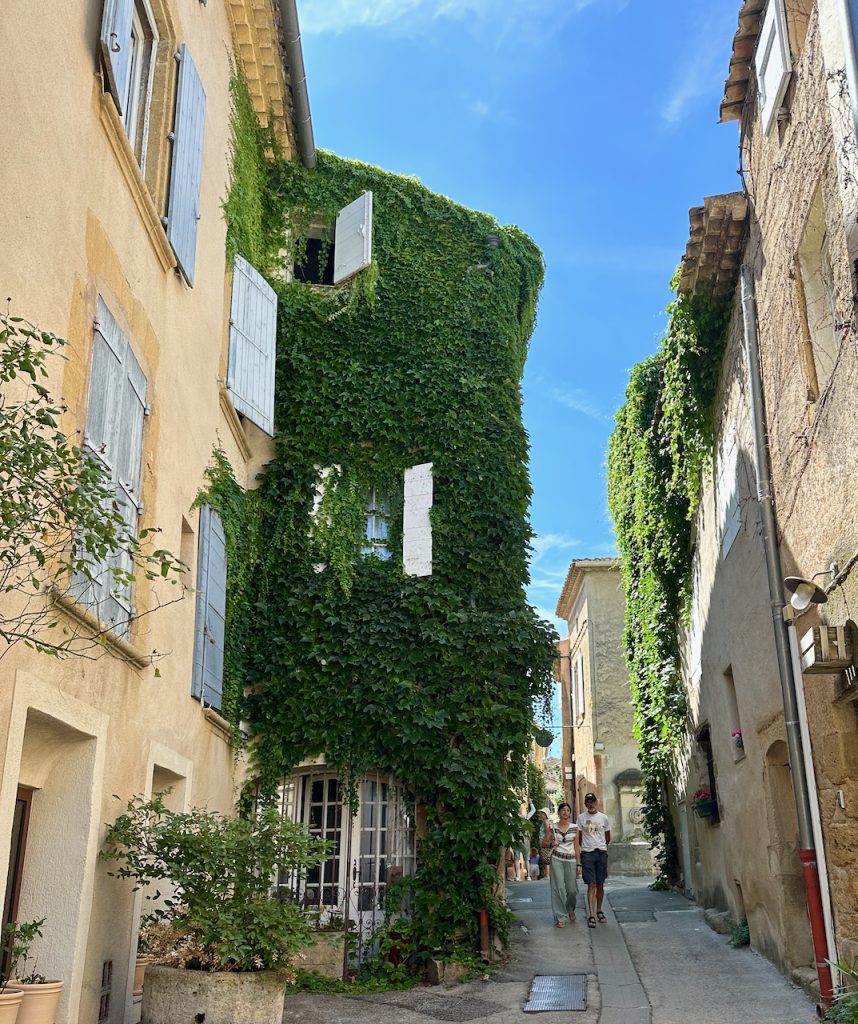 Street in Lourmarin, Luberon, Vaucluse, Provence, France