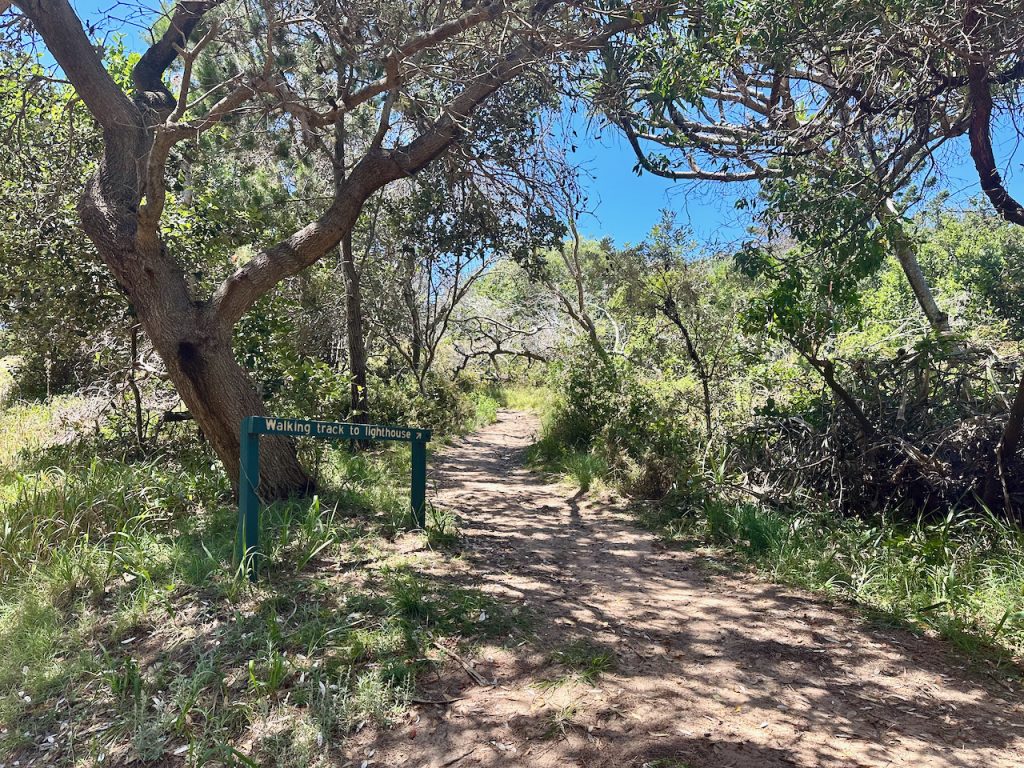 Track through the bush to the Great Sandy Beach, Sunshine Coast, Noosa, Australia