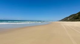 On the Great Sandy Beach, Sunshine Coast, Noosa, Australia