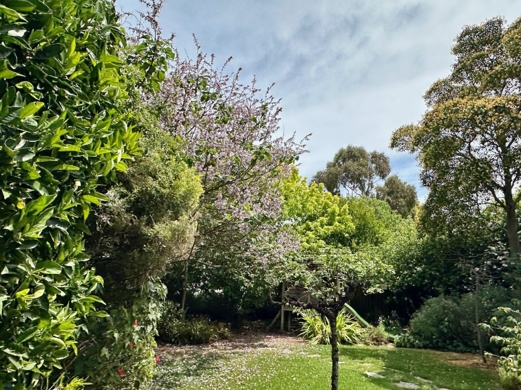 The garden of Secret Cottage, McLarren-Vale, Adelaide, South Australia