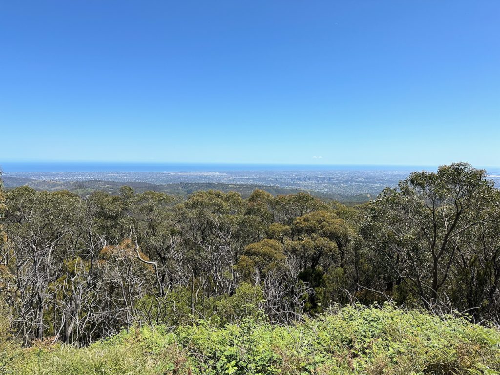 Views of Adelaide from Mt Lofty, near Adelaide, South Australia