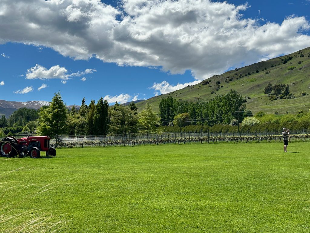 Amisfield vineyards, Queenstown, South Island New Zealand