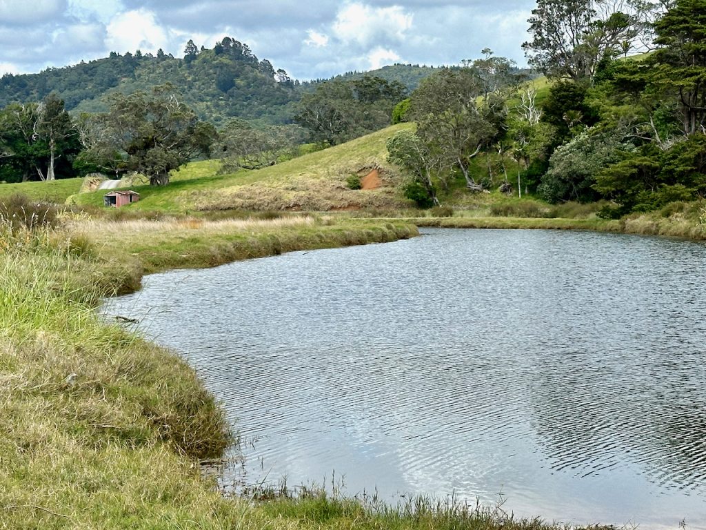 By William MangaKahia Lagoon Reserve, Coromandel, New Zealand