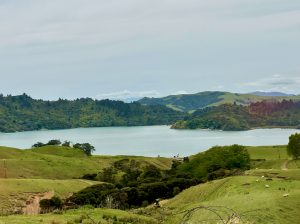 Drive to Coromandel, New Zealand