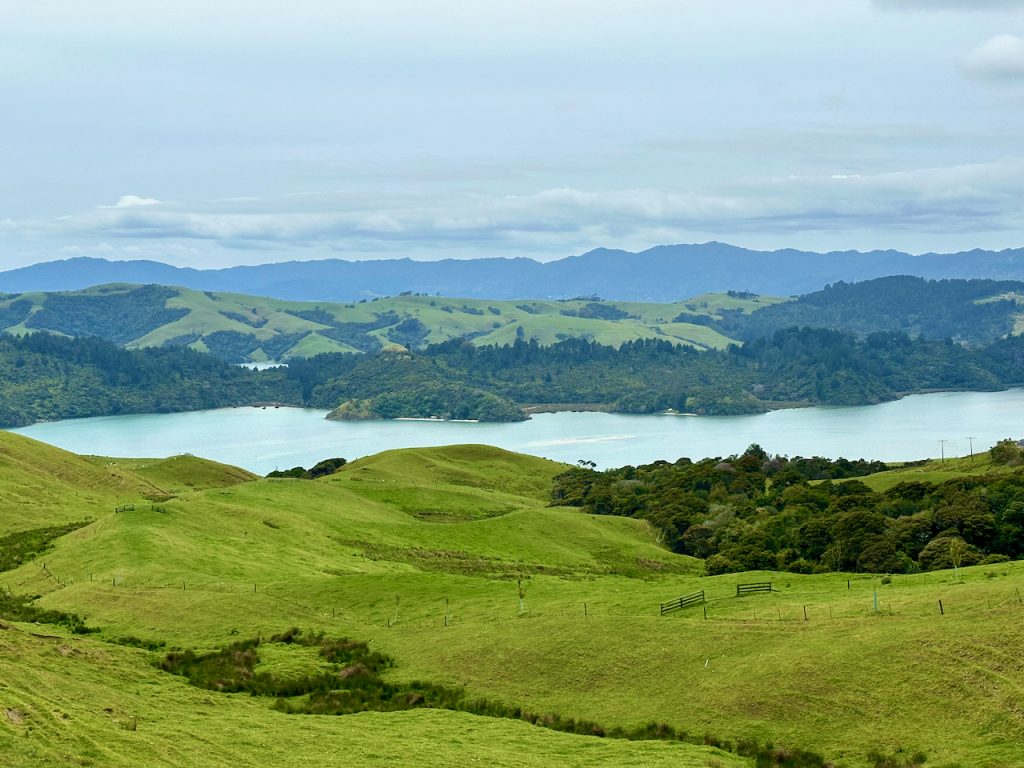 Drive to Coromandel, New Zealand