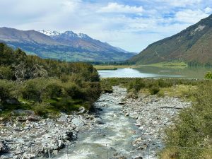 Fords on road to Paradise from Glenorchy, near Queenstown, South Island New Zealand