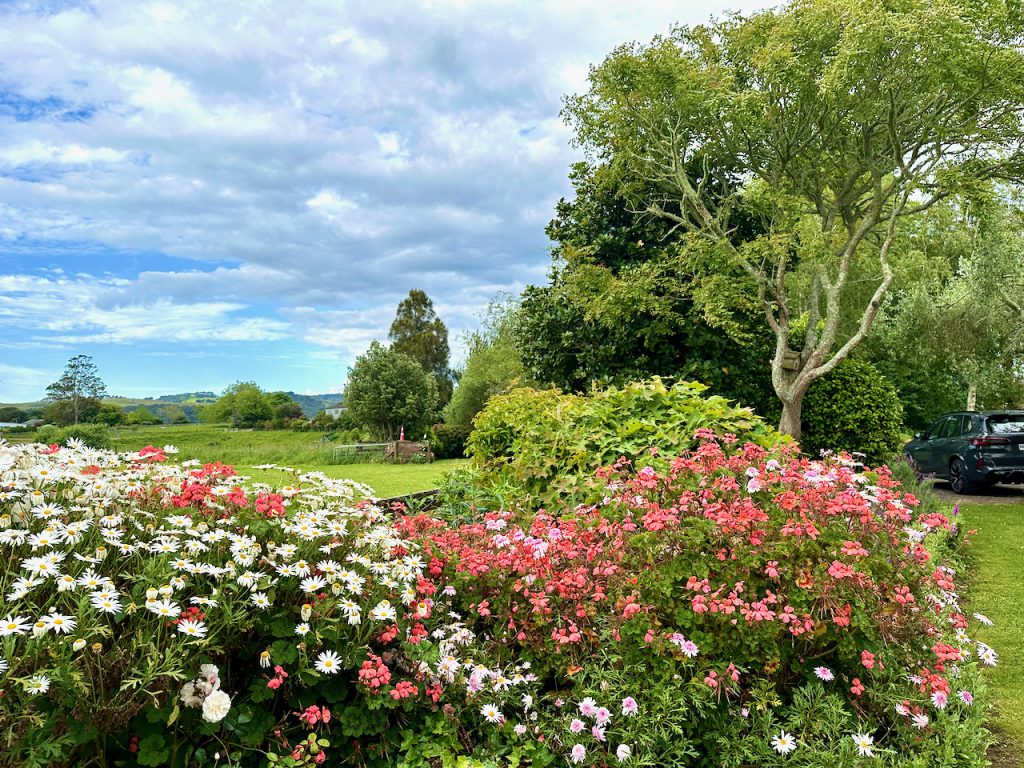 Garden in Pōkeno South of Auckland, New Zealand