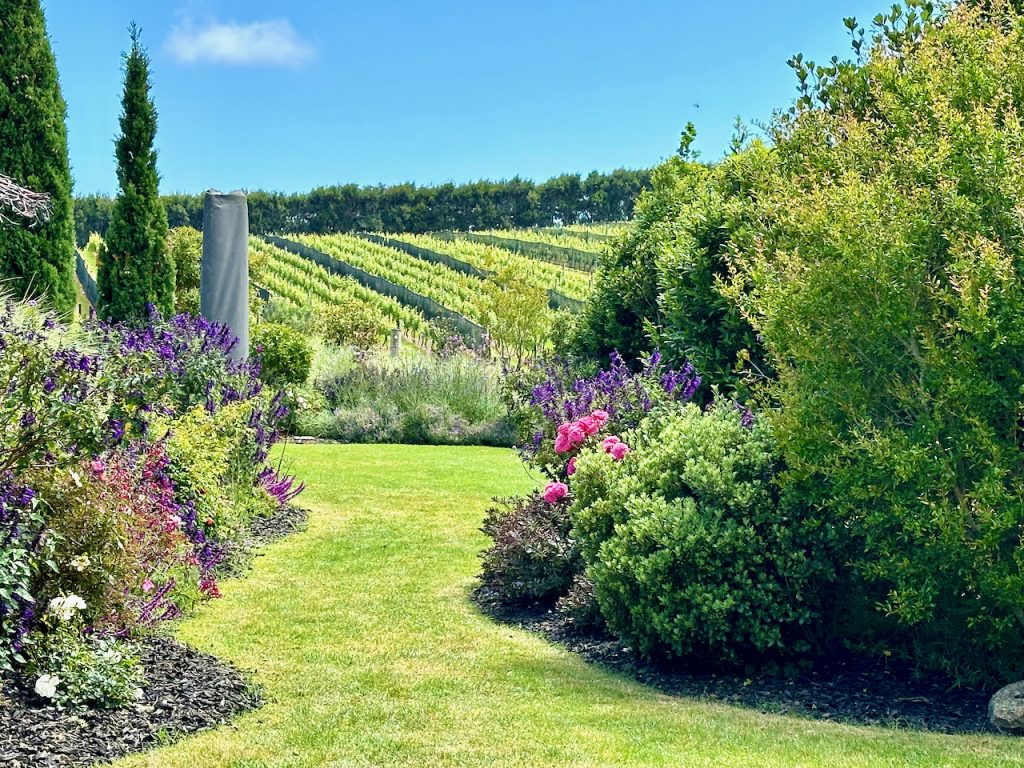 Gardens at Tantalus Winery, Waiheke Island, Auckland,