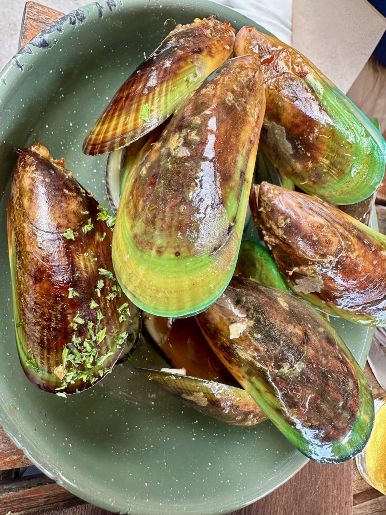 Green lipped mussels at Luke's Kitchen, near Matarangi Coromandel, New Zealand