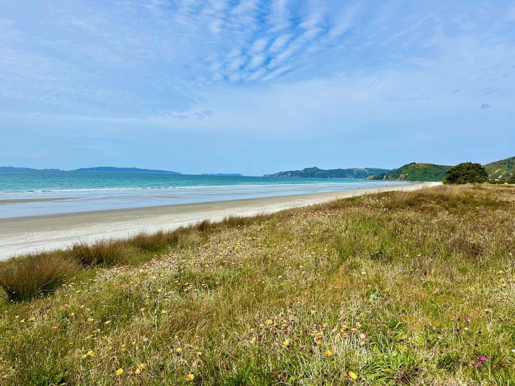 Matarangi Beach, Coromandel, New Zealand