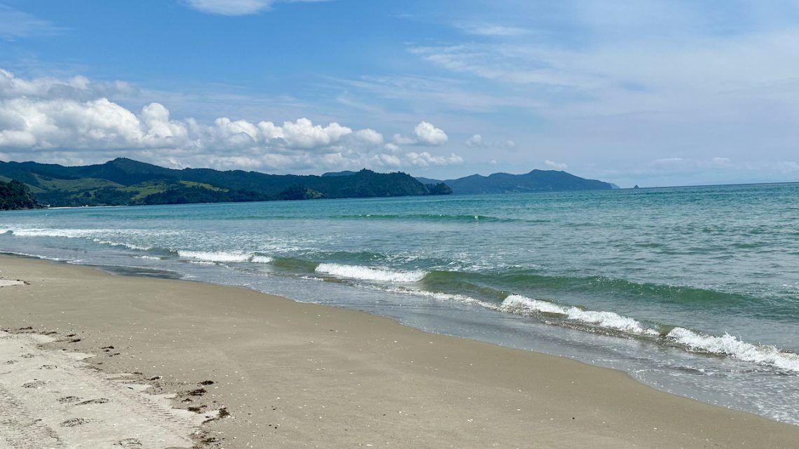 Matarangi Beach in the Pines, Coromandel, New Zealand