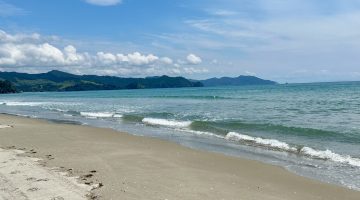 Matarangi Beach in the Pines, Coromandel, New Zealand