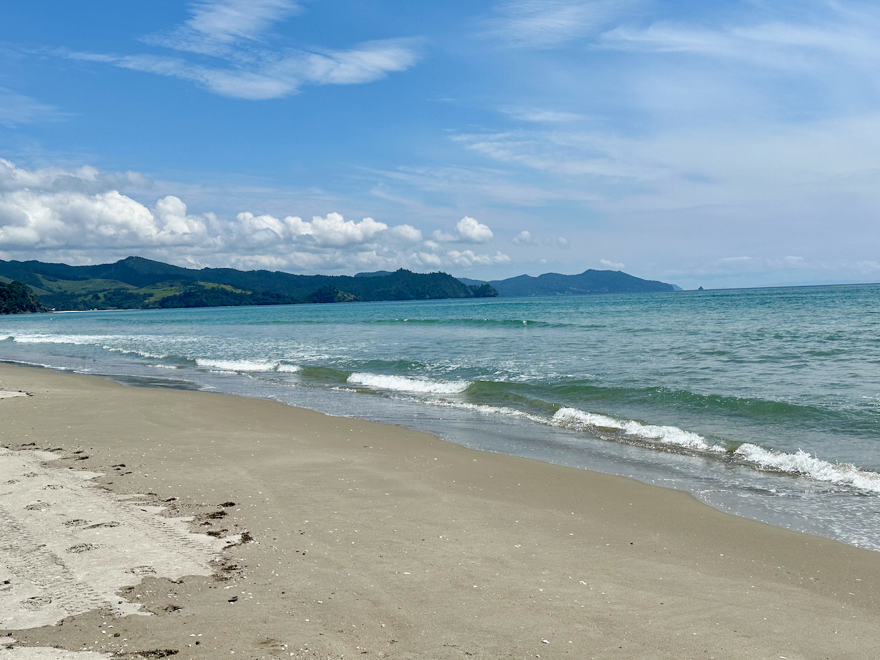 Matarangi Beach in the Pines, Coromandel, New Zealand