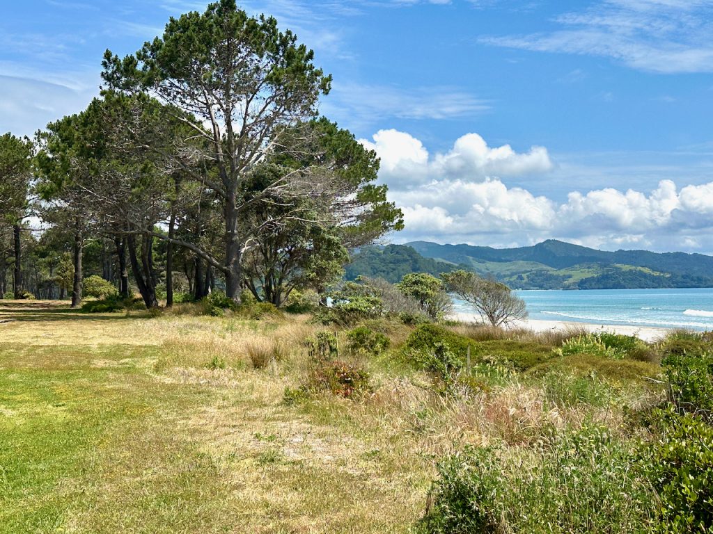 Matarangi Beach by the Pines, Coromandel, New Zealand