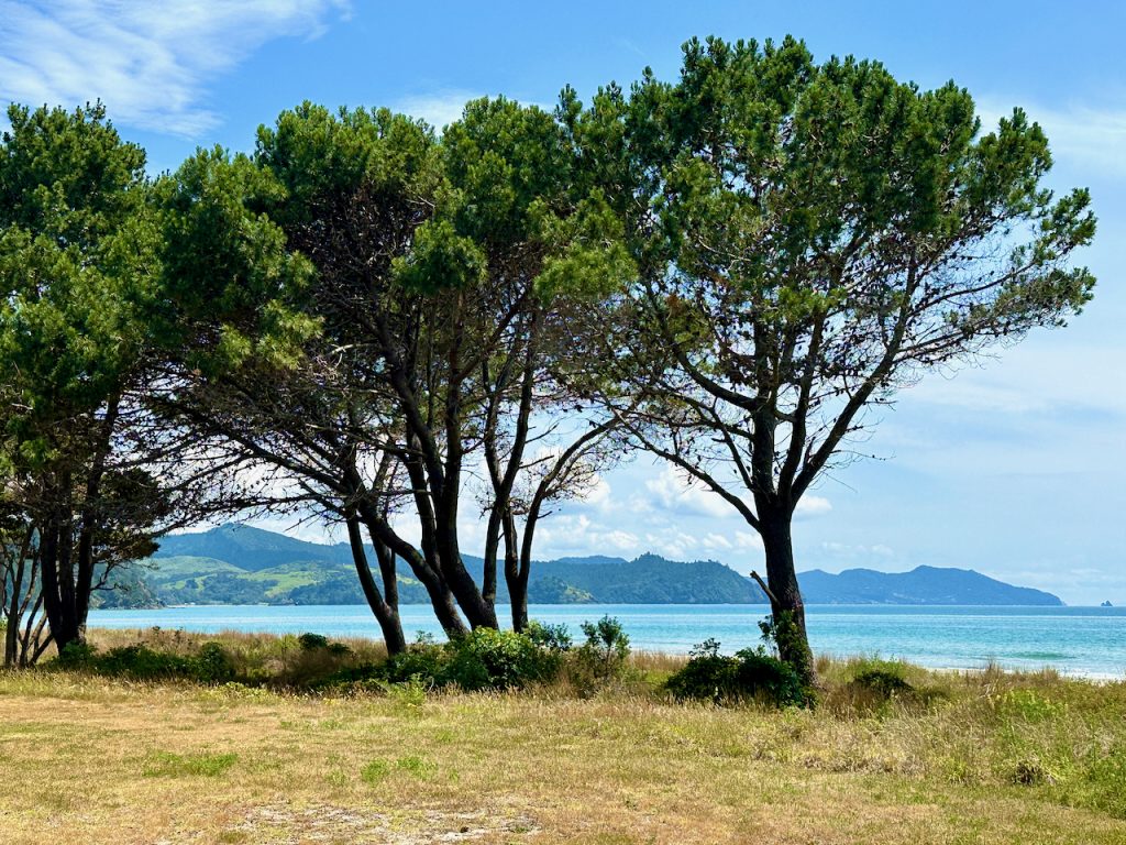 Matarangi Beach by the Pines, Coromandel, New Zealand