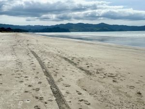 On Matarangi Beach, Coromandel, New Zealand