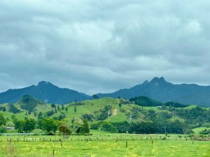 On drive Coromandel, New Zealand
