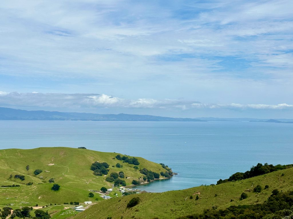 We drive to Coromandel