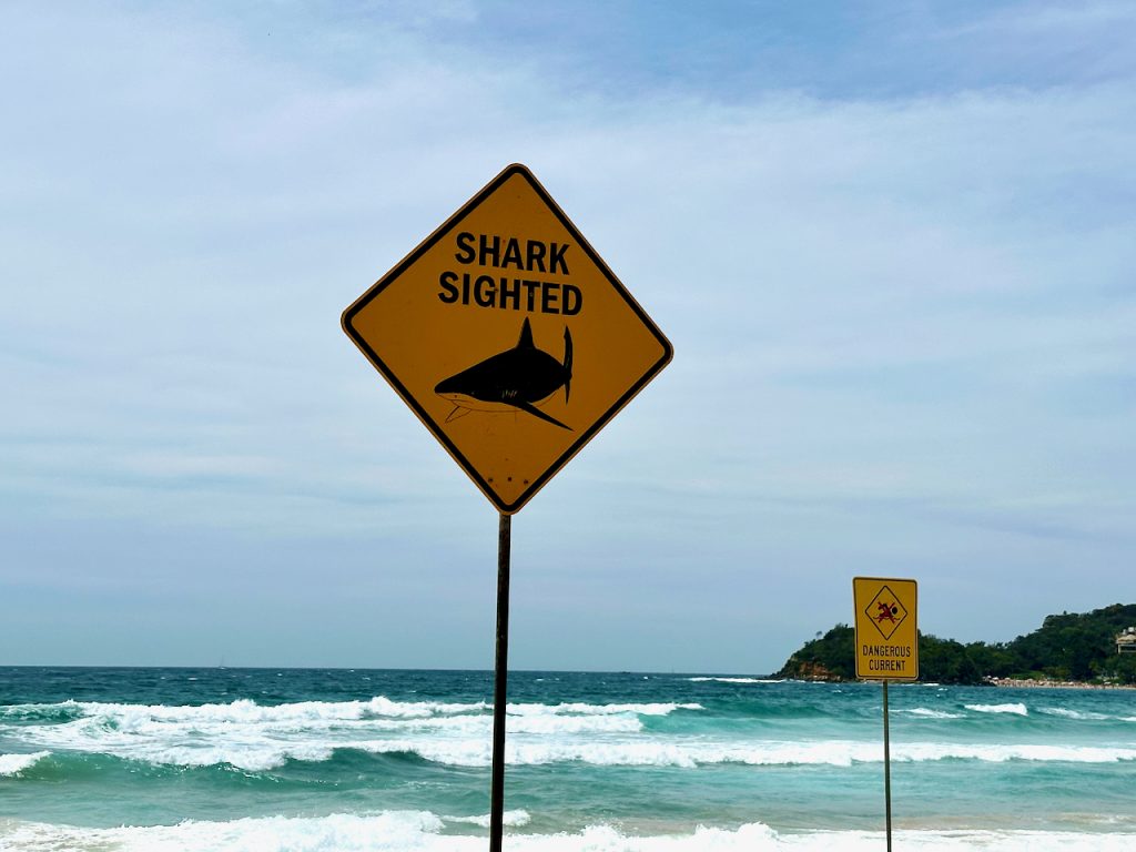 Shark sighted on Manly Beach, Sydney, NSW, Australia