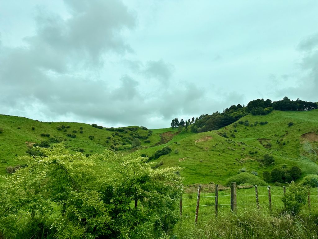 South Auckland, New Zealand