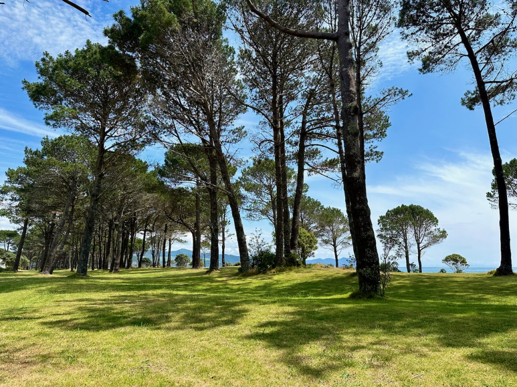 The Pines, Matarangi, Coromandel, New Zealand