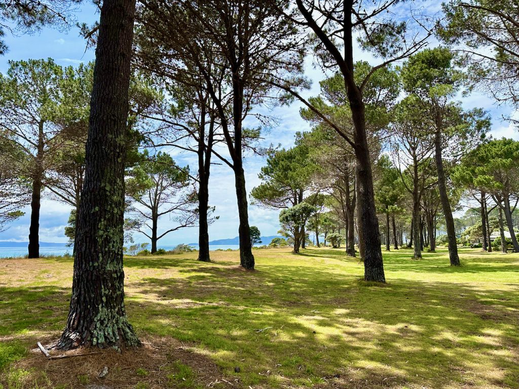 The Pines, Matarangi, Coromandel, New Zealand