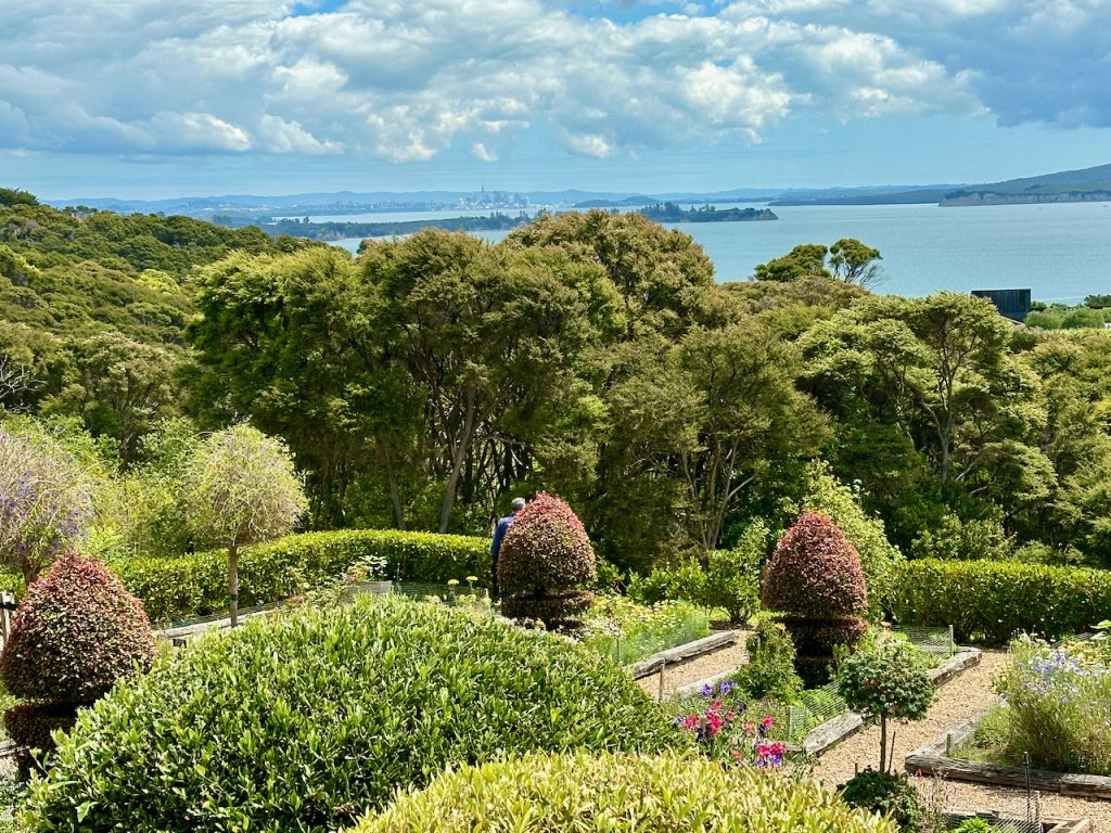 View at Mudbrick Winery, Waiheke Island, Auckland, New Zealand