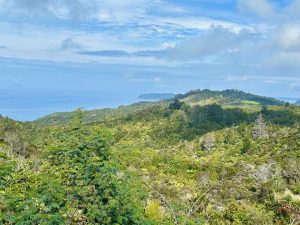 View of Coromandel, New Zealand