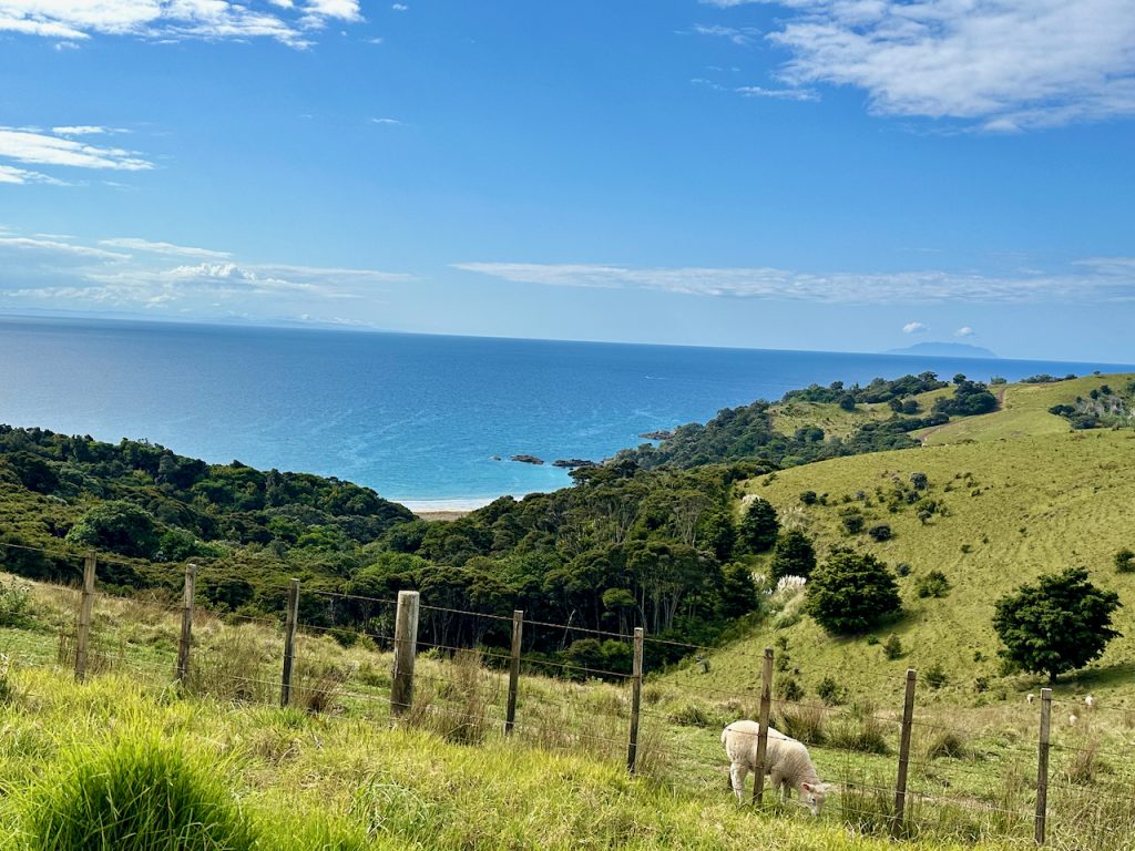 Views in Waiheke Island, Auckland, New Zealand