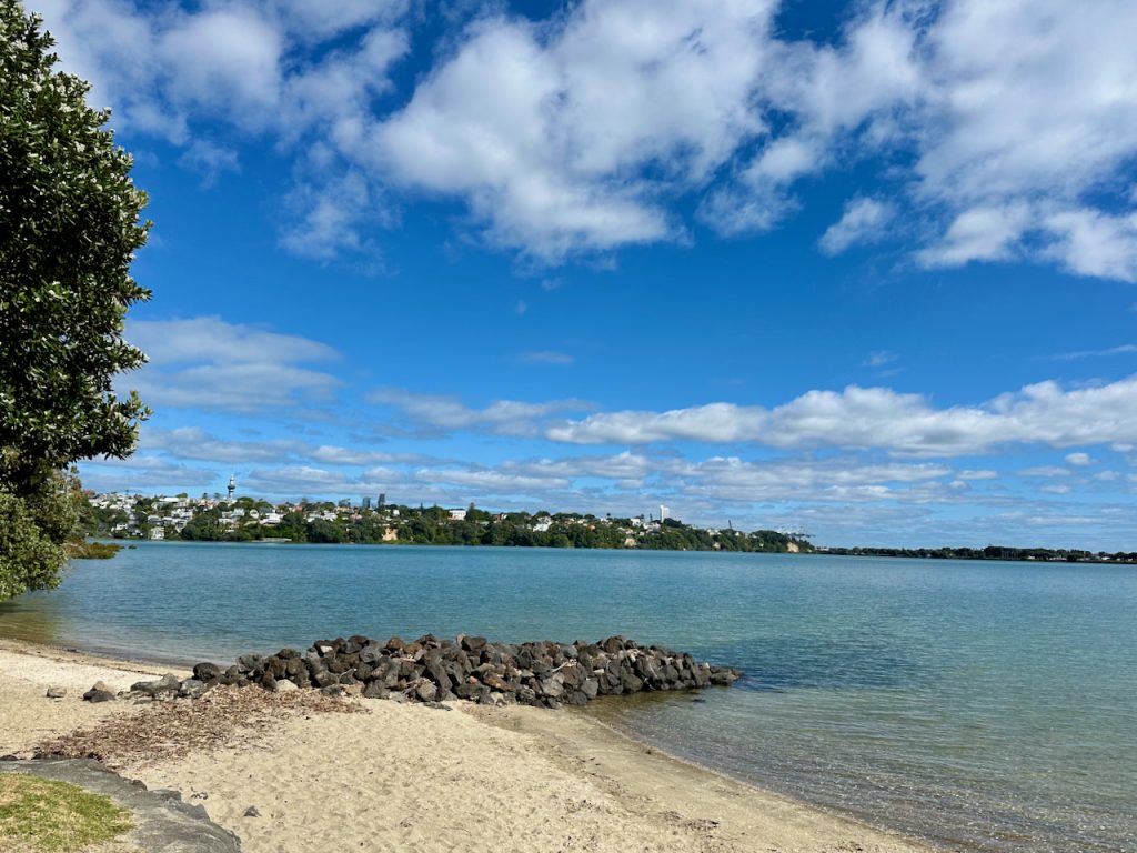 Walk in Remuera, Auckland, New Zealand