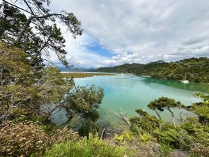 Walk near Matarangi ,Coromandel, New Zealand