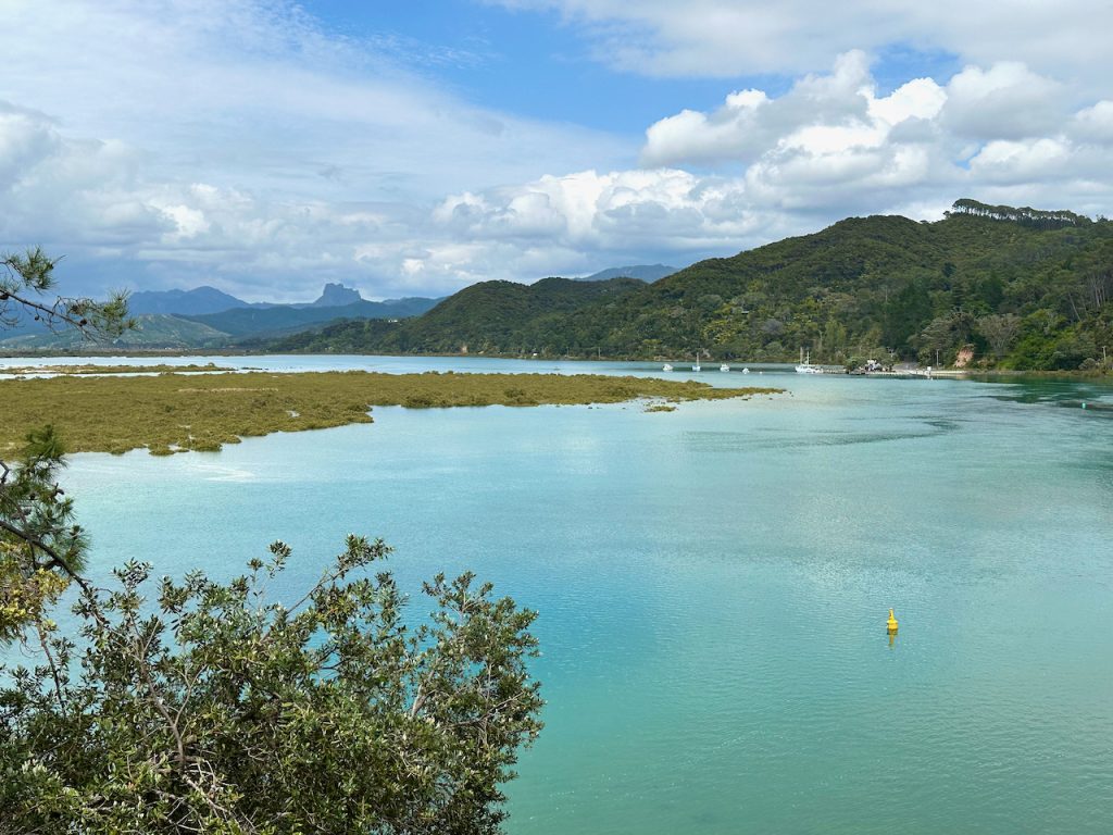 Walk with view of Giant's Head", Matarangi, Coromandel, New Zealand